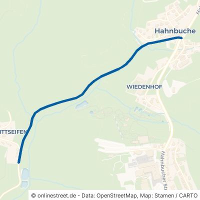 Schmittseifer Straße Reichshof Hahnbuche 