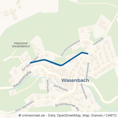 Am Sonnenhang 56370 Wasenbach 