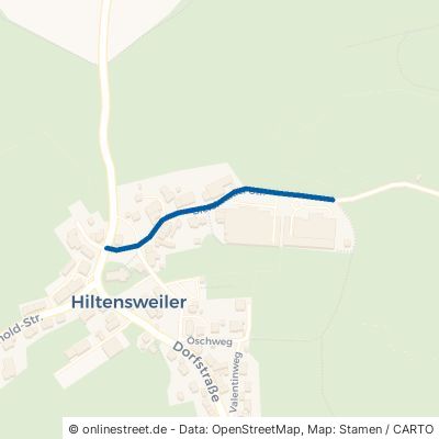 Bleichnauer Straße Tettnang Hiltensweiler 