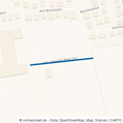 Dr.-Adolph-Baer-Straße 35510 Butzbach Griedel 
