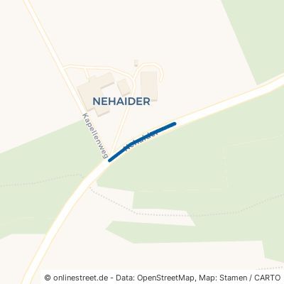 Nehaider Holzkirchen Fellach 