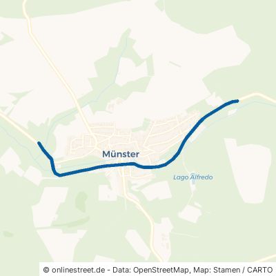Bezirksstraße Selters (Taunus) 