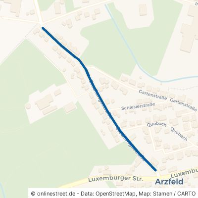 Siedlungsstraße Arzfeld 