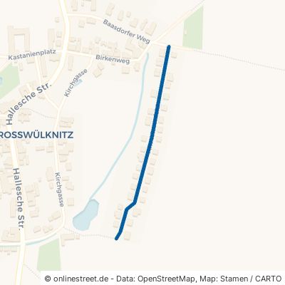 Am Wiesenfeld 06369 Köthen (Anhalt) Großwülknitz Großwülknitz