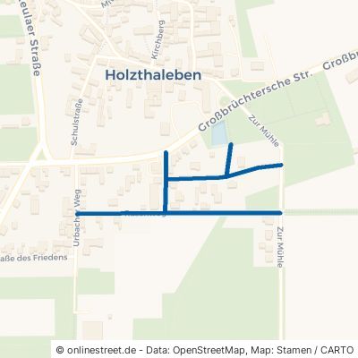 Rasenweg Helbedündorf Holzthaleben 