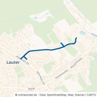 Ludwig-Jahn-Straße Lauter-Bernsbach Lauter 