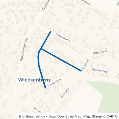 Neue Straße Wietze Wieckenberg 