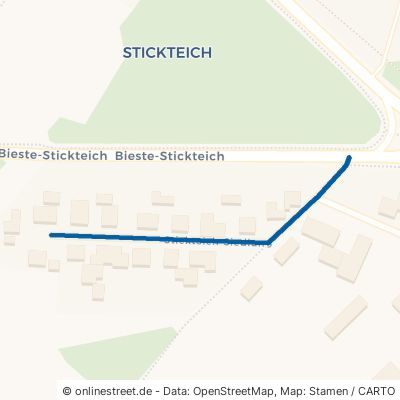 Stickteich-Siedlung 49597 Rieste Bieste 