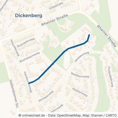 Haselnußweg Ibbenbüren Dickenberg 