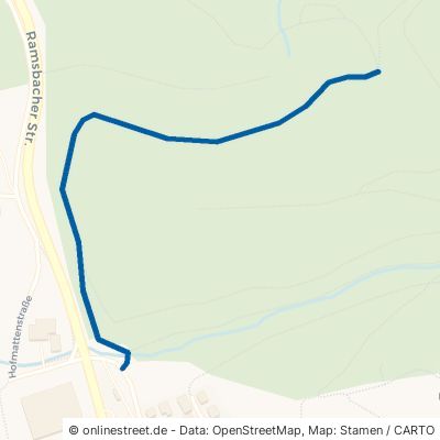 Hofhaldeweg Oppenau Steinenbach 