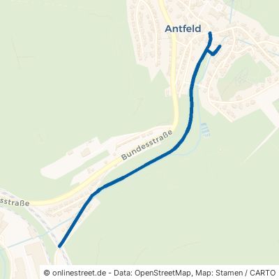 Dorfwiese Olsberg Antfeld 