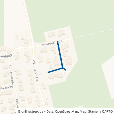 Kientzheimer Straße 88441 Mittelbiberach 