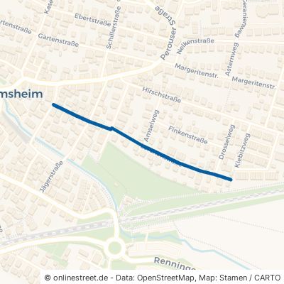 Lerchenstraße Renningen Malmsheim 