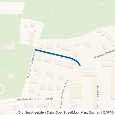 Hans-Lingl-Straße Schweinfurt Hochfeld-Steinberg 