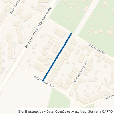 Cronberger Straße 63075 Offenbach am Main 