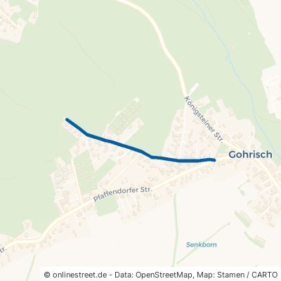 Pladerbergstraße Gohrisch Kurort Gohrisch 