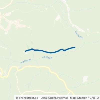 Haslachhaldenweg Lenzkirch Kappel 