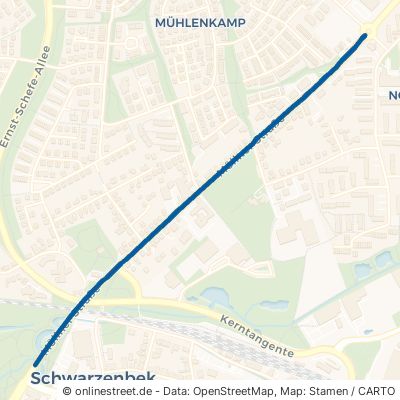 Möllner Straße Schwarzenbek Schwarzenbek 