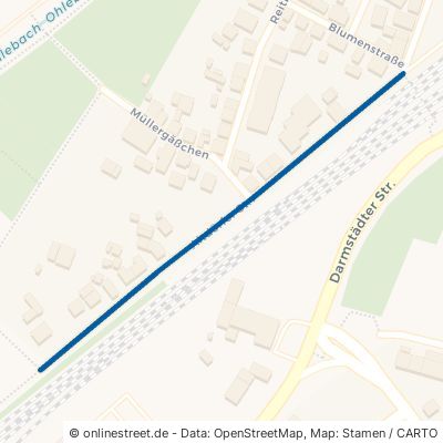 Altdörfer Straße 64832 Babenhausen 