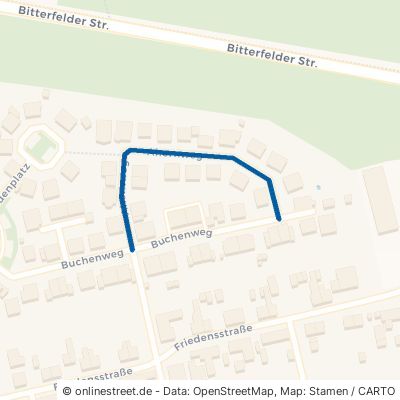 Ahornweg Sandersdorf-Brehna 