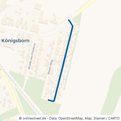 Mittelweg Biederitz Alt Königsborn 