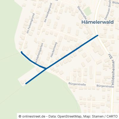 Försterstraße Lehrte Hämelerwald 