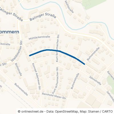Theodor-Heuss-Straße 72336 Balingen Frommern Frommern