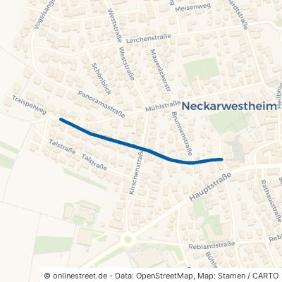 Wiesenstraße 74382 Neckarwestheim 