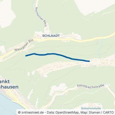 Alte Haudererstraße 56346 Sankt Goarshausen 