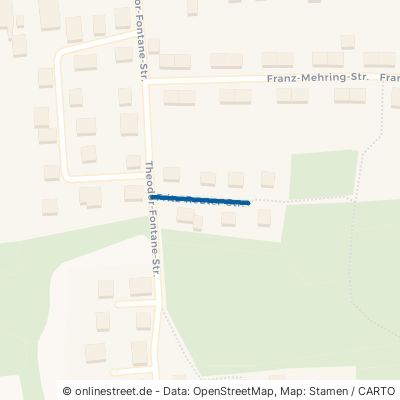 Fritz-Reuter-Straße 23942 Dassow 