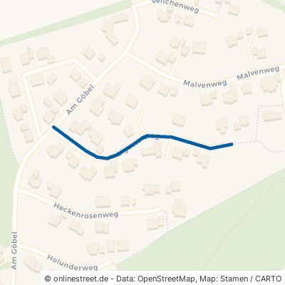 Ligusterweg Grünsfeld 
