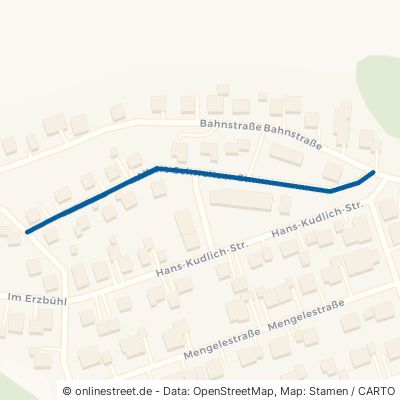 Albert-Schweitzer-Straße 89335 Ichenhausen Hochwang 