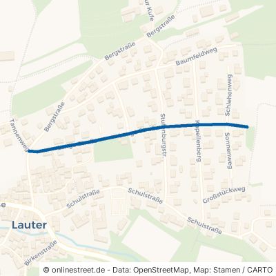 Lange Straße Lauter 