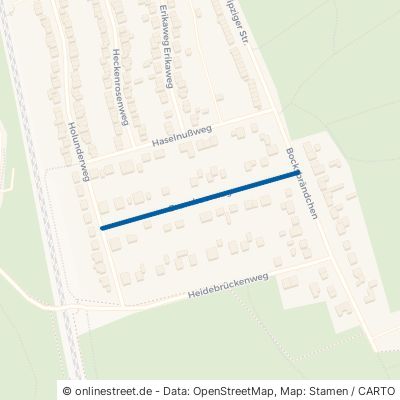 Brombeerweg Dessau-Roßlau Haideburg 