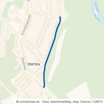 Am Hang 06849 Dessau-Roßlau Törten Törten