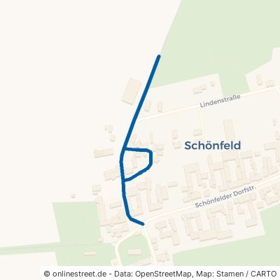 Dom Schönfeld Schönfeld 