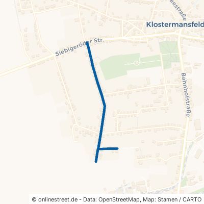 Neue Straße Klostermansfeld 
