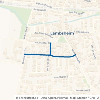 Werry-Straße Lambsheim 