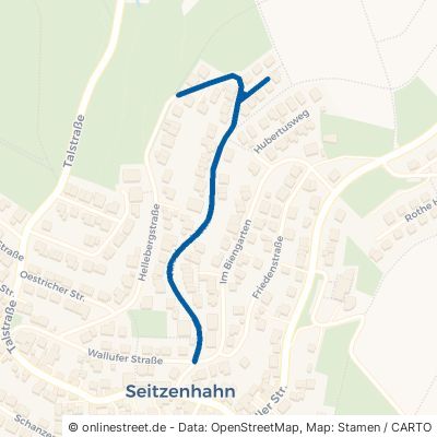 Kirschweidstraße Taunusstein Seitzenhahn 