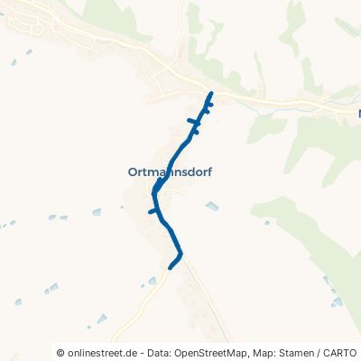 Wildenfelser Straße Mülsen Ortmannsdorf 