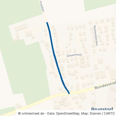 Waldstraße 21524 Brunstorf 