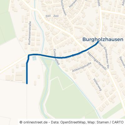 Mainzer Straße Friedrichsdorf Burgholzhausen 