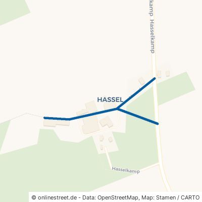 Hassel 21261 Welle Kampen 