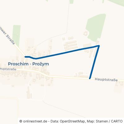 Mühlenweg 03119 Welzow Proschim 