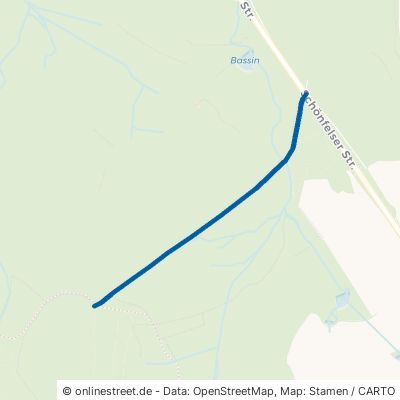 Grüner Weg Lichtentanne Schönfels 