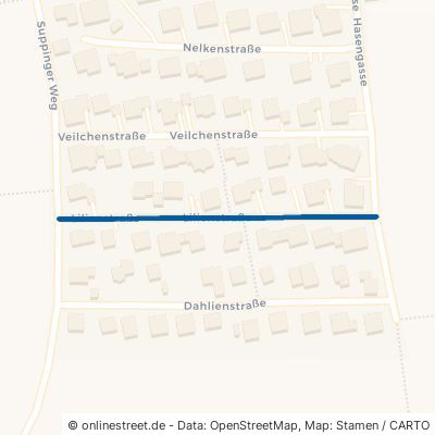Lilienstraße Laichingen Machtolsheim 