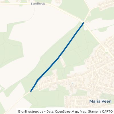 Waldweg Reken Maria Veen 