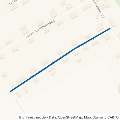 Wiesenweg 09353 Oberlungwitz 