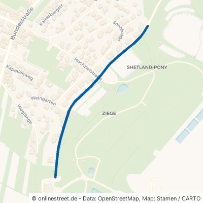 Erzstraße 77975 Ringsheim 
