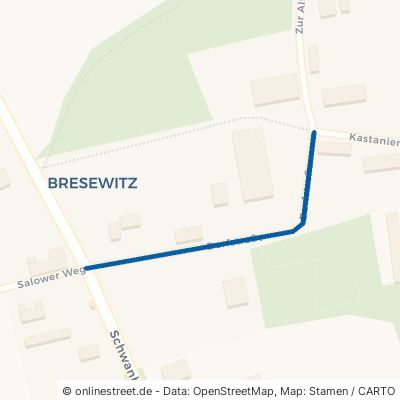 Dorfstraße Friedland Bresewitz 